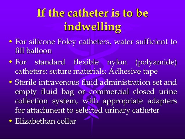 urethral catheterization male dog foley cath size chart