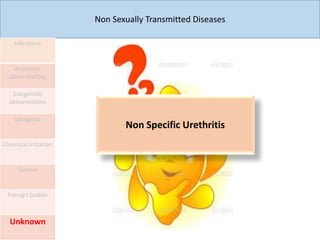 Non Sexually Transmitted Diseases
Infections
Anatomic
abnormalities
Congenital
abnormalities
Iatrogenic
Chemical irritation
Tumors
Foreign bodies
Unknown
Non Specific Urethritis
 