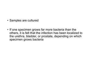 • Samples are cultured
• If one specimen grows far more bacteria than the
others, it is felt that the infection has been localized to
the urethra, bladder, or prostate, depending on which
specimen grows bacteria
 