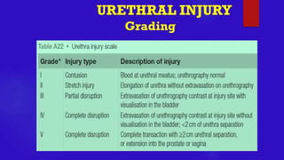 URETHRAL INJURY- Trauma Surgery