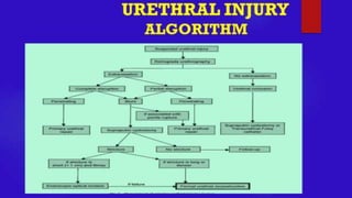 URETHRAL INJURY- Trauma Surgery