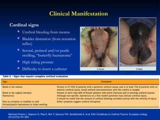 High Riding Prostate Sign Urethral injuries: anatomical consideration and initial management by ...