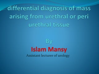 Assistant lecturer of urology
 