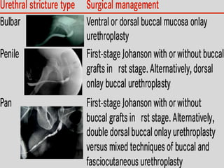Friday, December 18, 2020 MOUNESH 4
 