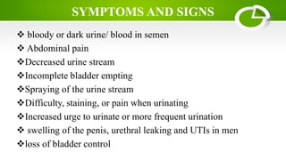 SYMPTOMS AND SIGNS
 bloody or dark urine/ blood in semen
 Abdominal pain
Decreased urine stream
Incomplete bladder empting
Spraying of the urine stream
Difficulty, staining, or pain when urinating
Increased urge to urinate or more frequent urination
 swelling of the penis, urethral leaking and UTIs in men
loss of bladder control
 