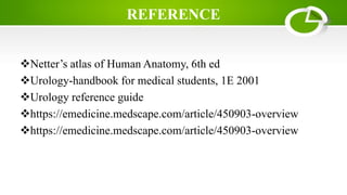 REFERENCE
Netter’s atlas of Human Anatomy, 6th ed
Urology-handbook for medical students, 1E 2001
Urology reference guide
https://emedicine.medscape.com/article/450903-overview
https://emedicine.medscape.com/article/450903-overview
 