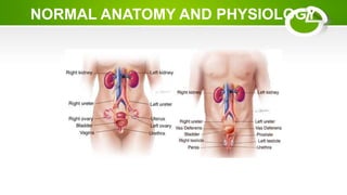 NORMAL ANATOMY AND PHYSIOLOGY
 