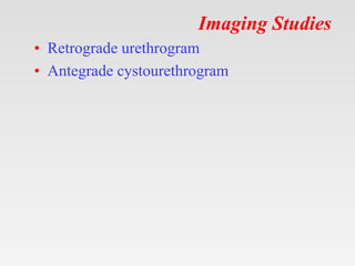 Imaging Studies
• Retrograde urethrogram
• Antegrade cystourethrogram
 