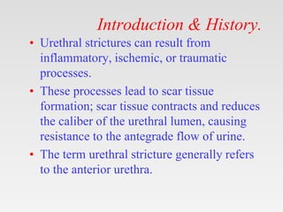 Introduction & History.
• Urethral strictures can result from
inflammatory, ischemic, or traumatic
processes.
• These processes lead to scar tissue
formation; scar tissue contracts and reduces
the caliber of the urethral lumen, causing
resistance to the antegrade flow of urine.
• The term urethral stricture generally refers
to the anterior urethra.
 