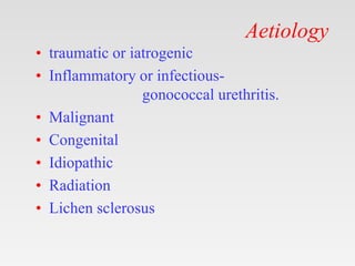 Aetiology
• traumatic or iatrogenic
• Inflammatory or infectious-
gonococcal urethritis.
• Malignant
• Congenital
• Idiopathic
• Radiation
• Lichen sclerosus
 