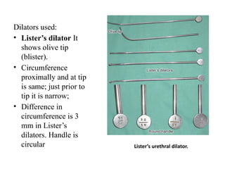 Dilators used:
• Lister’s dilator It
shows olive tip
(blister).
• Circumference
proximally and at tip
is same; just prior to
tip it is narrow;
• Difference in
circumference is 3
mm in Lister’s
dilators. Handle is
circular Lister’s urethral dilator.
 