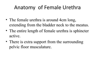 Anatomy of Female Urethra
• The female urethra is around 4cm long,
extending from the bladder neck to the meatus.
• The entire length of female urethra is sphincter
active.
• There is extra support from the surrounding
pelvic floor musculature.
 