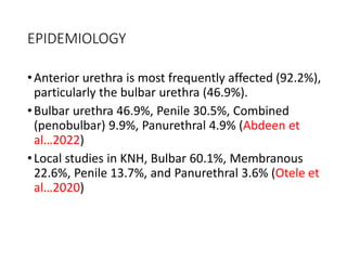 EPIDEMIOLOGY
•Anterior urethra is most frequently affected (92.2%),
particularly the bulbar urethra (46.9%).
•Bulbar urethra 46.9%, Penile 30.5%, Combined
(penobulbar) 9.9%, Panurethral 4.9% (Abdeen et
al…2022)
•Local studies in KNH, Bulbar 60.1%, Membranous
22.6%, Penile 13.7%, and Panurethral 3.6% (Otele et
al…2020)
 