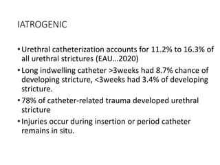 IATROGENIC
•Urethral catheterization accounts for 11.2% to 16.3% of
all urethral strictures (EAU…2020)
•Long indwelling catheter >3weeks had 8.7% chance of
developing stricture, <3weeks had 3.4% of developing
stricture.
•78% of catheter-related trauma developed urethral
stricture
•Injuries occur during insertion or period catheter
remains in situ.
 