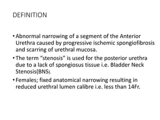 DEFINITION
•Abnormal narrowing of a segment of the Anterior
Urethra caused by progressive ischemic spongiofibrosis
and scarring of urethral mucosa.
•The term “stenosis” is used for the posterior urethra
due to a lack of spongiosus tissue i.e. Bladder Neck
Stenosis(BNS).
•Females; fixed anatomical narrowing resulting in
reduced urethral lumen calibre i.e. less than 14Fr.
 