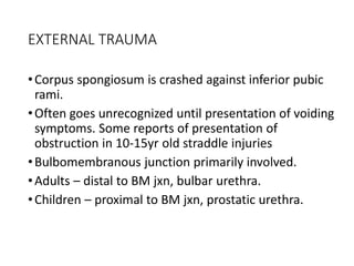 EXTERNAL TRAUMA
•Corpus spongiosum is crashed against inferior pubic
rami.
•Often goes unrecognized until presentation of voiding
symptoms. Some reports of presentation of
obstruction in 10-15yr old straddle injuries
•Bulbomembranous junction primarily involved.
•Adults – distal to BM jxn, bulbar urethra.
•Children – proximal to BM jxn, prostatic urethra.
 