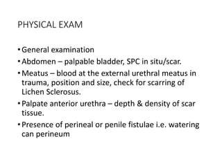 PHYSICAL EXAM
•General examination
•Abdomen – palpable bladder, SPC in situ/scar.
•Meatus – blood at the external urethral meatus in
trauma, position and size, check for scarring of
Lichen Sclerosus.
•Palpate anterior urethra – depth & density of scar
tissue.
•Presence of perineal or penile fistulae i.e. watering
can perineum
 
