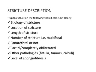 STRICTURE DESCRIPTION
• Upon evaluation the following should come out clearly:
Etiology of stricture
Location of stricture
Length of stricture
Number of stricture i.e. multifocal
Panurethral or not.
Partial/completely obliterated
Other pathologies (fistula, tumors, calculi)
Level of spongiofibrosis
 