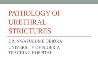 PATHOLOGY OF
URETHRAL
STRICTURES
DR. NWAFULUME OBIORA
UNIVERSITY OF NIGERIA
TEACHING HOSPITAL
 