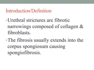 Introduction/Definition
•Urethral strictures are fibrotic
narrowings composed of collagen &
fibroblasts.
•The fibrosis usually extends into the
corpus spongiosum causing
spongiofibrosis.
 