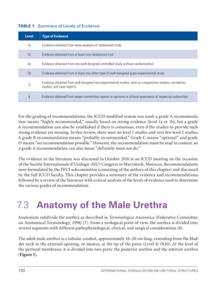 International Consultation on Urethral Strictures
150
Table 1 Summary of Levels of Evidence
Level Type of Evidence
1a Evidence obtained from meta-analysis of randomized trials
1b Evidence obtained from at least one randomized trial
2a Evidence obtained from one well-designed controlled study without randomization
2b Evidence obtained from at least one other type of well-designed quasi-experimental study
3
Evidence obtained from well-designed non-experimental studies, such as comparative studies, correlation
studies, and case reports
4 Evidence obtained from expert committee reports or opinions or clinical experience of respected authorities
For the grading of recommendations, the ICUD modified system was used: a grade A recommenda-
tion means “highly recommended,” usually based on strong evidence (level 1a or 1b), but a grade
A recommendation can also be established if there is consensus, even if the studies to provide such
strong evidence are missing. In this review, there were no level 1 studies and very few level 2 studies.
A grade B recommendation means “probably recommended.” Grade C means “optional” and grade
D means “no recommendation possible.” However, the recommendation must be read in context, so
a grade A recommendation can also mean “definitely must not do.”
The evidence in the literature was discussed in October 2010 at an ICUD meeting on the occasion
of the Société Internationale d’Urologie (SIU) Congress in Marrakech, Morocco. Recommendations
were formulated by the PFUI subcommittee (consisting of the authors of this chapter) and discussed
by the full ICUD faculty. This chapter provides a summary of the evidence and recommendations,
followed by a review of the literature with critical analysis of the levels of evidence used to determine
the various grades of recommendation.
7.3 Anatomy of the Male Urethra
Anatomists subdivide the urethra as described in Terminologica Anatomica (Federative Committee
on Anatomical Terminology, 1998) (7). From a urological point of view, the urethra is divided into
several segments with different pathophysiological, clinical, and surgical considerations (8).
The adult male urethra is a tubular conduit, approximately 18–20 cm long, extending from the blad-
der neck to the external opening, or meatus, at the tip of the penis (Level 4) (9,10). At the level of
the perineal membrane, it is divided into two parts: the posterior urethra and the anterior urethra
(Figure 1).
 