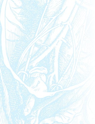 urethral_strictures_2010.pdf