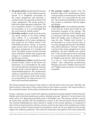 17
Epidemiology, Etiology, Anatomy, and Nomenclature of Urethral Stenoses, Strictures, and Pelvic Fracture Urethral Disruption Injuries
3. The penile urethra extends from the meatus
to the distal edge of the bulbocavernosus
muscle. It is completely surrounded by
the corpus spongiosum and maintains a
constant lumen size, generally centred in the
corpus spongiosum. The penile urethra is
lined with simple squamous epithelium. The
term “pendulous urethra” is confusing and
not descriptive, so it is recommended that
the correct term be “penile urethra.”
4. The bulbar urethra extends from the proxi-
mal penile urethra to the distal membra-
nous urethra. It is surrounded by the
bulbospongiosus of the corpus spongiosum
and covered by the midline fusion of the
ischiobulbocavernosus muscle. It becomes
larger and lies closer to the dorsal aspect of
the corpus spongiosum as it extends proxi-
mally. The bulbar urethra is lined with squa-
mous epithelium distally that progressively
changes to transitional epithelium in the
membranous urethra.
5. The membranous urethra extends from the
proximal bulbar urethra to the distal veru-
montanum. It is surrounded by the volun-
tary external sphincter mechanism, both the
smooth muscle external sphincter and the
striated/rhabdosphincter. The membranous
urethra is unattached to any fixed structure
and is the only segment of the male urethra
not surrounded by any other structure. It is
lined with transitional epithelium.
6. The prostatic urethra extends from the
proximal edge of the membranous urethra
or the proximal verumontanum to the distal
bladder neck. It is surrounded by the pros-
tate. The transitional epithelium of the pros-
tatic urethra is continuous with the trigone
and bladder.
7. The bladder neck is surrounded by the fibres
of the detrusor muscle and variably by any
intravesical extension of the prostate. The
transitional epithelium of the bladder neck
is continuous with the trigone and bladder.
When the bladder neck is affected by scar-
ring, the term “bladder neck stricture” is
not descriptive or correct because there is
no corpus spongiosum located at the bladder
neck, and by definition a “stricture” involves
scarring of the corpus spongiosum or spon-
giofibrosis. The term “bladder neck contrac-
ture” is also not descriptive and is confusing.
It is recommended that the preferred term
be “bladder neck stenosis” when the prostate
is in situ or “vesico-urethral anastomotic
stenosis” after radical/total prostatectomy.
Therefore, the terms “bladder neck stricture”
and “bladder neck contracture” are no longer
acceptable.
The normal anatomic description of the urethra is with the penis in the erect state. Therefore, the
dorsal urethra is that aspect of the urethra closest to the corpora cavernosa. The ventral urethra is
the contralateral aspect of the urethra, farthest from the corpora cavernosa.
Urinary continence in men results from sphincter mechanisms located along the urethra from the
bladder neck to the distal membranous urethra. Multiple muscular “sphincters” are described in the
male urethra (71). Beginning proximally, there is the bladder neck. The prostate contains a muscu-
lar stroma that continues into the membranous urethra as the external smooth muscle sphincter.
The external rhabdosphincter, often referred to simply as the external sphincter, is composed of
slow-twitch striated muscle for voluntary urinary control. In the region of the membranous urethra
there are peri-urethral striated muscles of recruitment, which are not true sphincters but provide
support for volitional continence. They allow for momentary interruption of the urine stream but
 