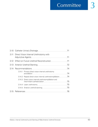 Dilation, Internal Urethrotomy and Stenting of Male Anterior Urethral Strictures 63
Committee 3
3.10 Catheter Urinary Drainage 71
3.11	
Direct Vision Internal Urethrotomy with
Adjunctive Agents 71
3.12	Effect on Future Urethral Reconstruction 71
3.13 Anterior Urethral Stenting 72
3.14	Recommendations 74
3.14.1	
Primary direct vision internal urethrotomy
and dilation 74
3.14.2	Repeat direct vision internal urethrotomy/dilation 74
3.14.3	
Direct vision internal urethrotomy/dilation and
intermittent catheterization 75
3.14.4	Laser urethrotomy 75
3.14.5 Anterior urethral stenting 75
3.15	References 76
 