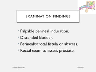 11/08/2025
Professor Bhavani Rao
EXAMINATION FINDINGS
• Palpable perineal induration.
• Distended bladder.
• Perineal/scrotal fistula or abscess.
• Rectal exam to assess prostate.
 