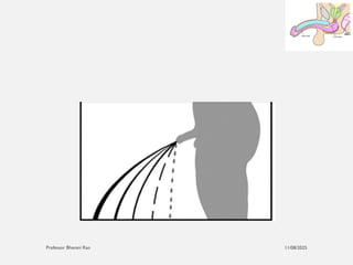 11/08/2025
Professor Bhavani Rao
 