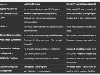 11/08/2025
Professor Bhavani Rao
 