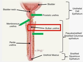 11/08/2025
Professor Bhavani Rao
 