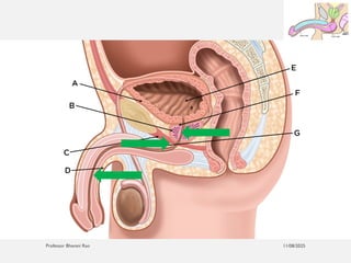 11/08/2025
Professor Bhavani Rao
 