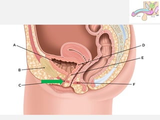 11/08/2025
Professor Bhavani Rao
 