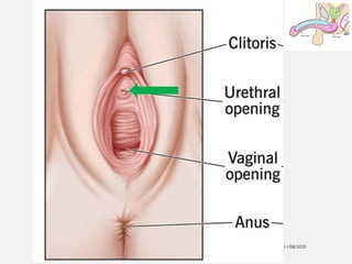 11/08/2025
Professor Bhavani Rao
 