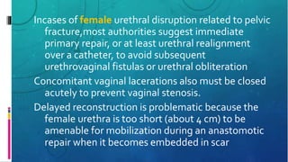 Incases of female urethral disruption related to pelvic
fracture,most authorities suggest immediate
primary repair, or at least urethral realignment
over a catheter, to avoid subsequent
urethrovaginal fistulas or urethral obliteration
Concomitant vaginal lacerations also must be closed
acutely to prevent vaginal stenosis.
Delayed reconstruction is problematic because the
female urethra is too short (about 4 cm) to be
amenable for mobilization during an anastomotic
repair when it becomes embedded in scar
 