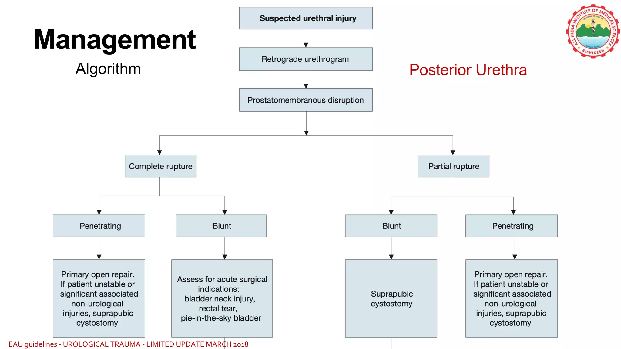 27
Management
EAU guidelines - UROLOGICAL TRAUMA - LIMITED UPDATE MARCH 2018
Algorithm Posterior Urethra
 