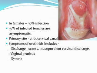  In females – 90% infection
 50% of infected females are

asymptomatic.
 Primary site - endocervical canal
 Symptoms of urethritis includes - Discharge - scanty, mucopurulent cervical discharge.
- Vaginal pruritus
- Dysuria

 