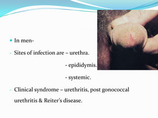  In men- Sites of infection are – urethra.

- epididymis.
- systemic.
- Clinical syndrome – urethritis, post gonococcal

urethritis & Reiter’s disease.

 