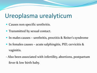 Ureoplasma urealyticum
 Causes non specific urethritis.
 Transmitted by sexual contact.
 In males causes – urethritis, proctitis & Reiter’s syndrome

 In females causes – acute salphingitis, PID, cervicitis &

vaginitis.
- Also been associated with infertility, abortions, postpartum
fever & low birth baby.

 