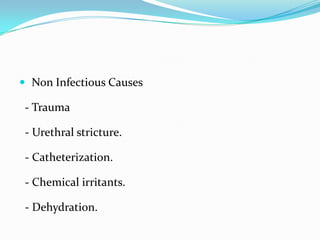  Non Infectious Causes

- Trauma
- Urethral stricture.
- Catheterization.
- Chemical irritants.
- Dehydration.

 