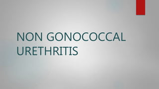 NON GONOCOCCAL
URETHRITIS
 