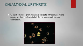 CHLAMYDIAL URETHRITIS
 C. trachomatis – gram negative obligate intracellular micro
organism that preferentially infect squamo-coloumnar
epithelium.
 