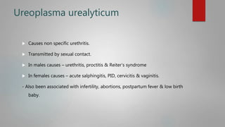 Ureoplasma urealyticum
 Causes non specific urethritis.
 Transmitted by sexual contact.
 In males causes – urethritis, proctitis & Reiter’s syndrome
 In females causes – acute salphingitis, PID, cervicitis & vaginitis.
- Also been associated with infertility, abortions, postpartum fever & low birth
baby.
 
