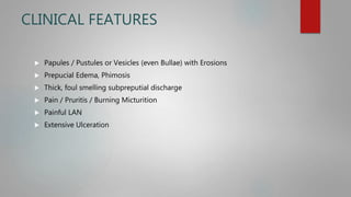 CLINICAL FEATURES
 Papules / Pustules or Vesicles (even Bullae) with Erosions
 Prepucial Edema, Phimosis
 Thick, foul smelling subpreputial discharge
 Pain / Pruritis / Burning Micturition
 Painful LAN
 Extensive Ulceration
 
