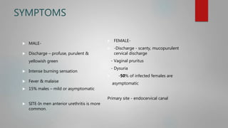 SYMPTOMS
 MALE-
 Discharge – profuse, purulent &
yellowish green
 Intense burning sensation
 Fever & malaise
 15% males – mild or asymptomatic
 SITE-In men anterior urethritis is more
common.
 FEMALE-
 -Discharge - scanty, mucopurulent
cervical discharge
- Vaginal pruritus
- Dysuria
 -50% of infected females are
asymptomatic
Primary site - endocervical canal
 