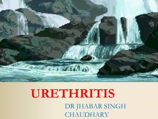 URETHRITIS
    DR JHABAR SINGH
    CHAUDHARY
 