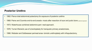 Posterior Urethra
• 1962: Pierce total abdominal pubectomy for exposure of posterior urethra
• 1968: Paine and Coombs end-to-end anasto- mosis after resection of scar and pubic bone (abdominal approach)
• 1973: Waterhouse combined abdomino-peri- neal approach.
• 1976: Turner-Warwick use of omentoplasty for transpubic primary anastomosis.
• 1986: Webster and Goldwasser perineal anas- tomotic urethroplasty with infrapubectomy.
 