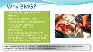 Why BMG?
 Cosmetically superior incision
 Hairless
 Decreased operative time
 Accustomed to a wet environment
 Resistance to infection,
compatibility with a wet
environment
 has a thick epithelium and a thin
lamina propria, making it tough and
easy to handle -----encourage graft
imbibition and inosculation
LONG-TERM FOLLOWUP OF THE VENTRALLY PLACED BUCCAL MUCOSA ONLAY GRAFT IN BULBAR URETHRAL
RECONSTRUCTION SEAN P. ELLIOTT, MICHAEL J. METRO AND JACK W. MCANINCH
 