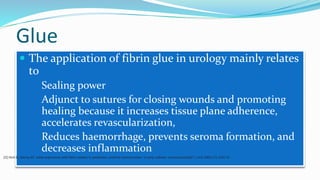 Glue
 The application of fibrin glue in urology mainly relates
to
 Sealing power
 Adjunct to sutures for closing wounds and promoting
healing because it increases tissue plane adherence,
accelerates revascularization,
 Reduces haemorrhage, prevents seroma formation, and
decreases inflammation
22] Hick EJ, Morey AF. Initial experience with fibrin sealant in pendulous urethral reconstruction. Is early catheter removal possible? J Urol 2004;171:1547–9.
 